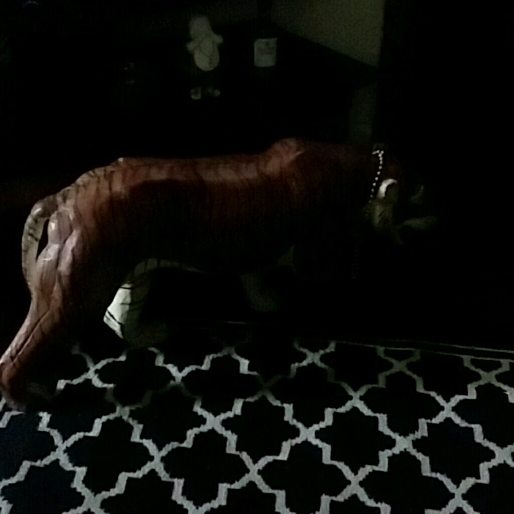 Meet your Posher, Keith